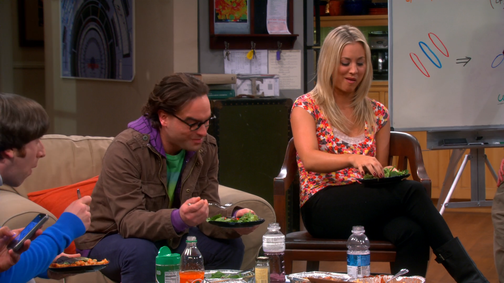 Big Bang Theory Season 1 Download Torrent